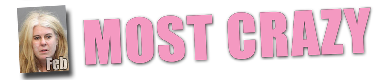 Illustration for article titled 2015 BatshitBabe Special Awards